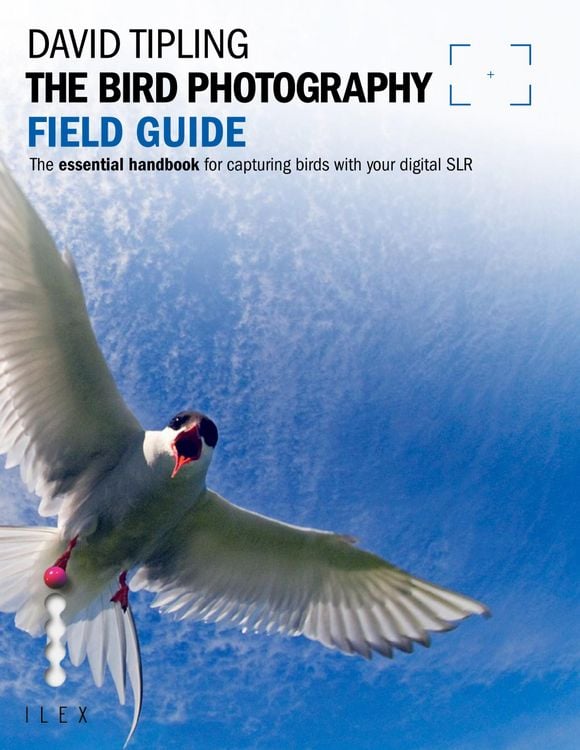 Produktbild: The Bird Photography Field Guide