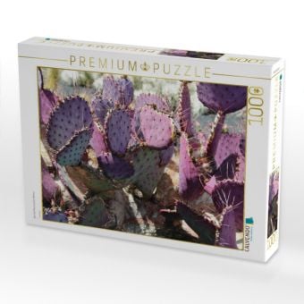 Produktbild: CALVENDO Puzzle Opuntia Macrocentra, Mexico | 1000 Teile Lege-Gr&ouml;&szlig;e 64x48cm Foto-Puzzle f&uuml;r gl&uuml;ckliche Stunden
