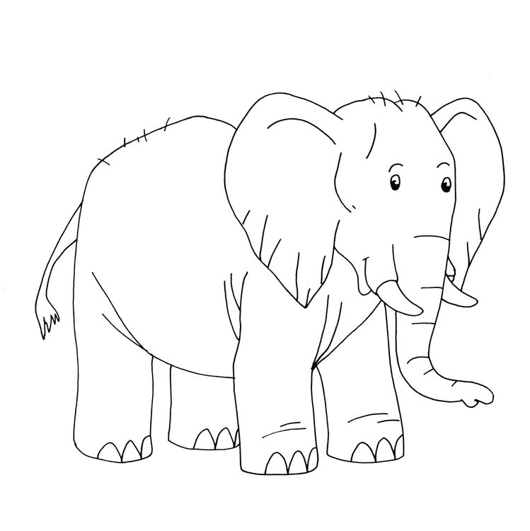 Produktbild: Abenteuer-Malblock: 32 coole Motive (Lenny Hunter)