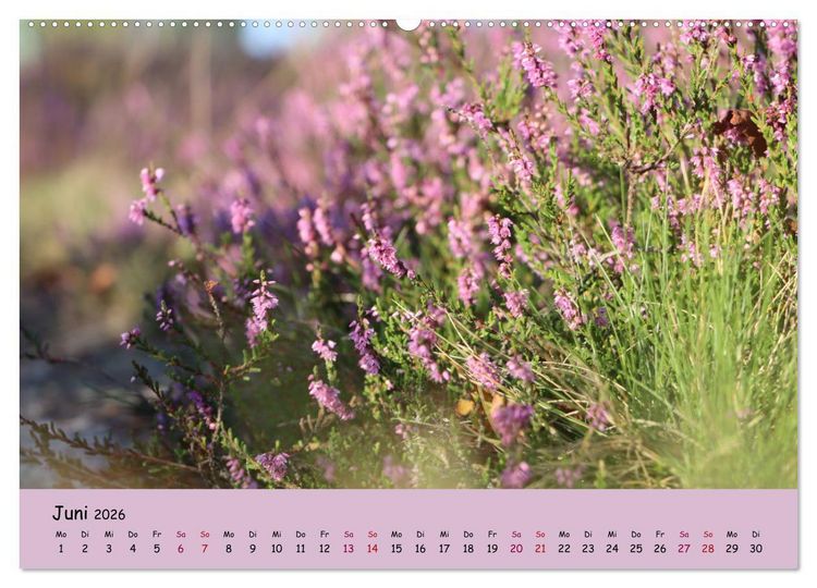 Produktbild: L&uuml;neburger Heide Wege (Wandkalender 2026 DIN A2 quer), CALVENDO Monatskalender