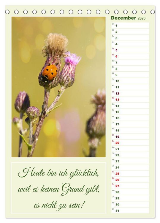 Produktbild: Marienk&auml;fer, Gl&uuml;cksbringer mit sieben Punkten (Tischkalender 2026 DIN A5 hoch), CALVENDO Monatskalender