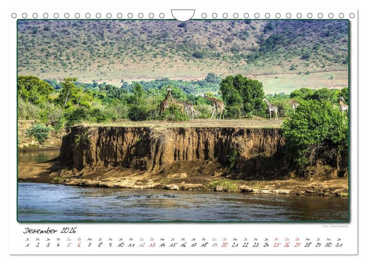 Produktbild: Abenteuer Masai Mara (Wandkalender 2026 DIN A4 quer), CALVENDO Monatskalender
