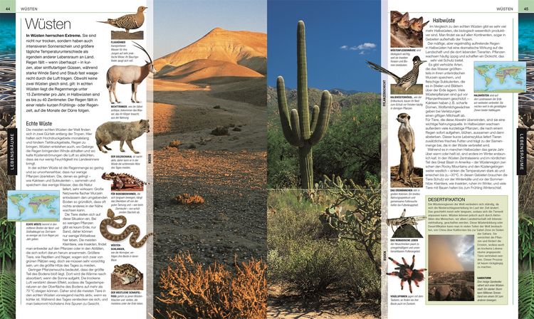 Produktbild: Tiere