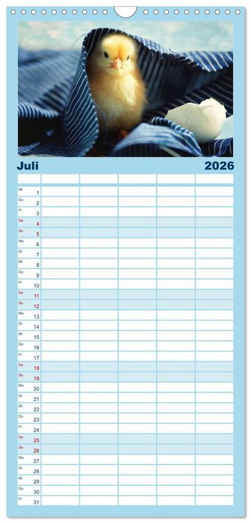 Produktbild: Familienplaner 2026 - K&uuml;ken in der Kinderstube mit 5 Spalten (Wandkalender, 21 x 45 cm) CALVENDO