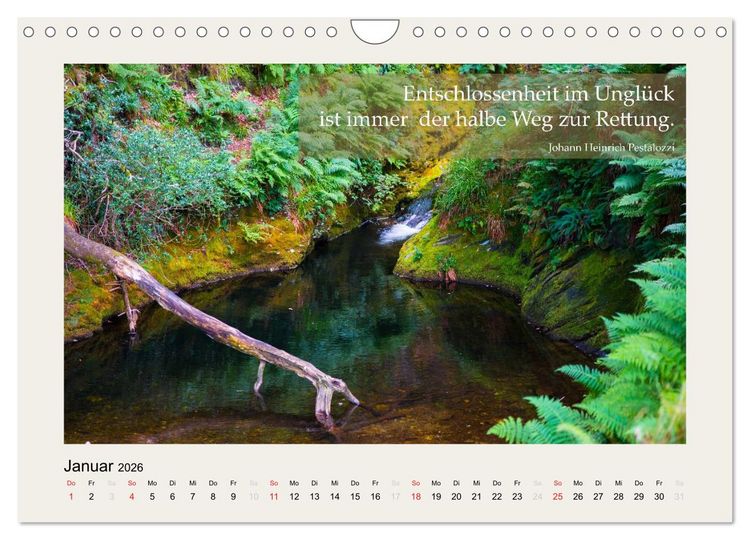 Produktbild: Hirnyoga (Wandkalender 2026 DIN A4 quer), CALVENDO Monatskalender