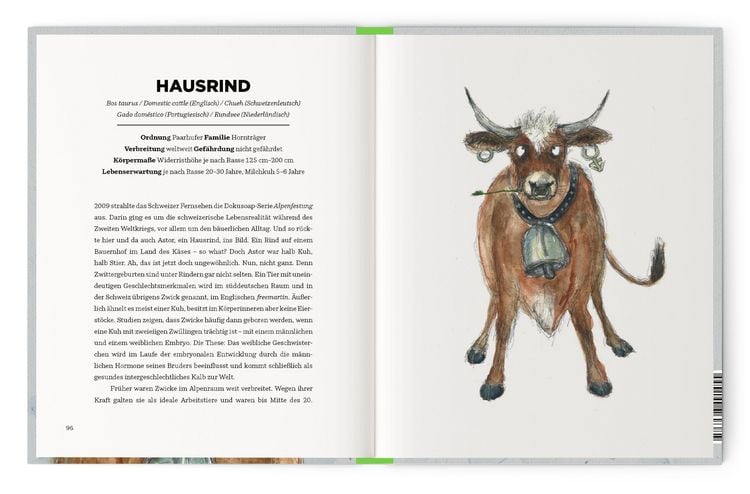 Produktbild: Queere Tiere