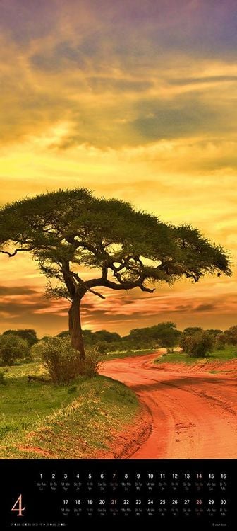 Produktbild: Trees 2024