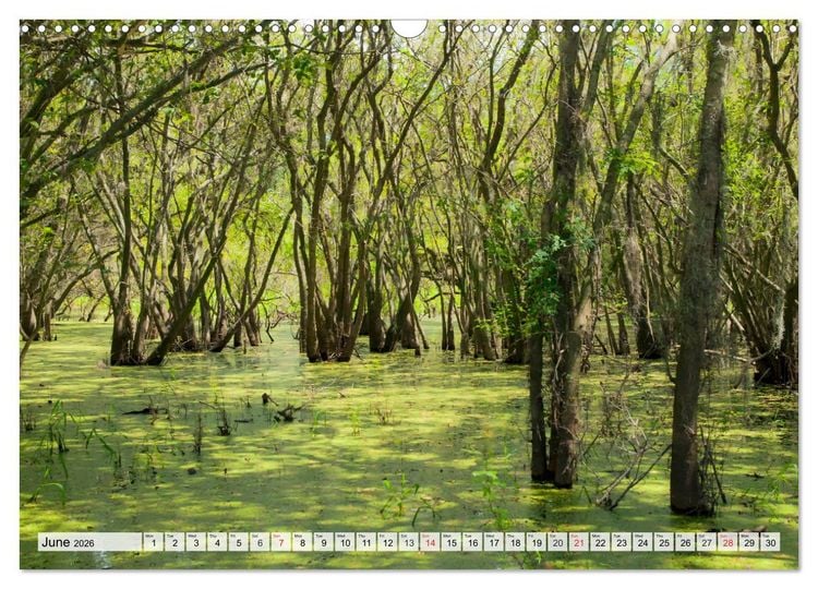 Produktbild: FLORIDA The Sunshine State (Wall Calendar 2026 DIN A3 landscape), CALVENDO 12 Month Wall Calendar
