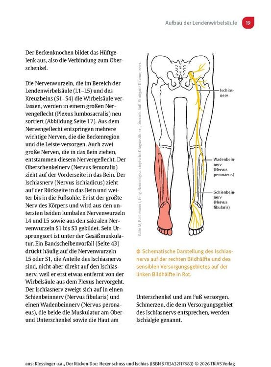 Produktbild: Der R&uuml;cken-Doc: Hexenschuss und Ischias