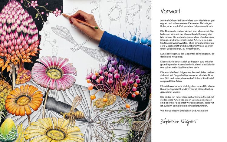 Produktbild: Geheimnisvolle Natur