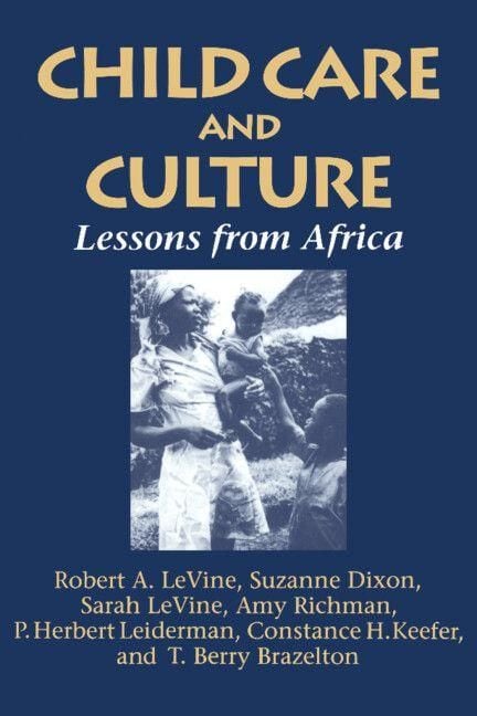 Produktbild: Child Care and Culture