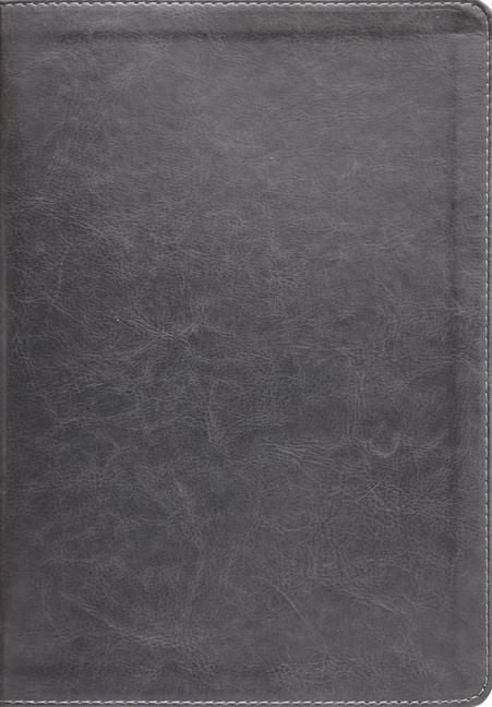 Produktbild: Esv, Thompson Chain-Reference Bible, Leathersoft, Gray, Red Letter, Thumb Indexed