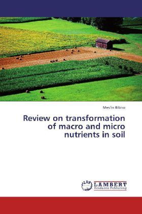 Produktbild: Bibiso, M: Review on transformation of macro and micro nutri