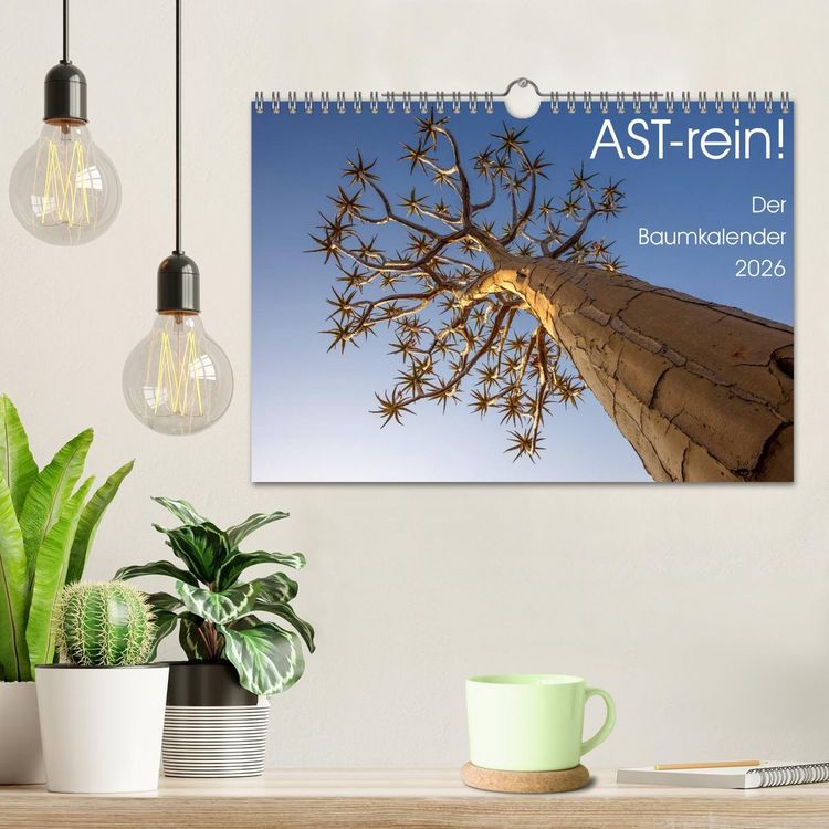 Produktbild: Astrein! - Der Baumkalender 2026 (Wandkalender 2026 DIN A4 quer), CALVENDO Monatskalender