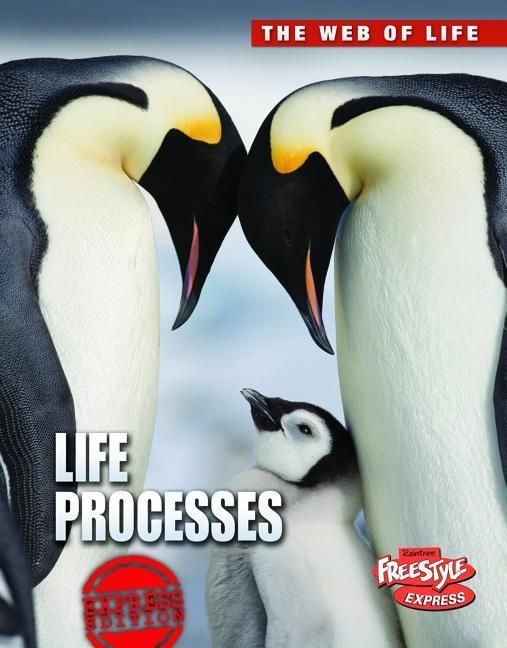 Produktbild: Life Processes