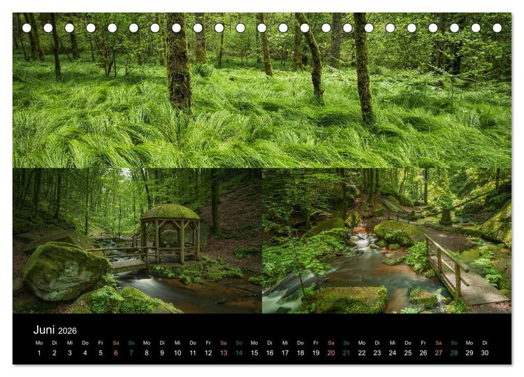 Produktbild: Atemberaubende und Emotionale Landschaften in der Pfalz (Tischkalender 2026 DIN A5 quer), CALVENDO Monatskalender