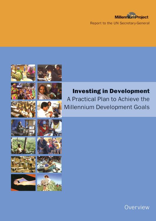 Produktbild: UN Millennium Development Library: Overview