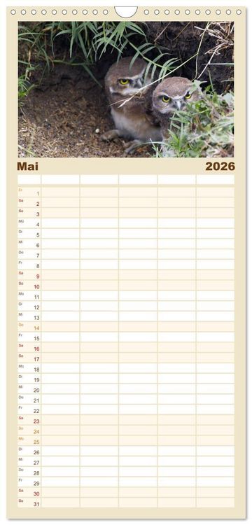 Produktbild: Familienplaner 2026 - Eulen. Gefiederte Weisheit mit 5 Spalten (Wandkalender, 21 x 45 cm) CALVENDO