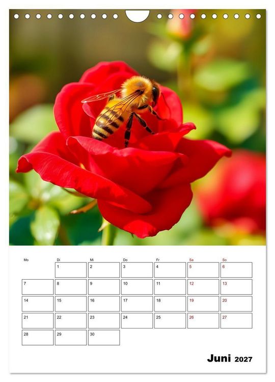 Produktbild: Die leisen Stimmen der Tiere (Wandkalender 2027 DIN A4 hoch), CALVENDO Monatskalender