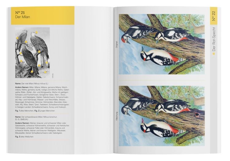 Produktbild: Finde den Fehler &ndash; 40 Meisterwerke der Vogel-Malerei