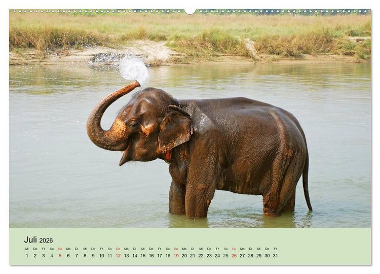 Produktbild: Elefanten. Badespa&szlig; am Strand (Wandkalender 2026 DIN A2 quer), CALVENDO Monatskalender