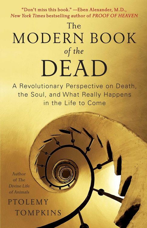 Produktbild: The Modern Book of the Dead