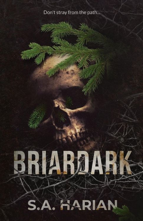 Produktbild: Briardark