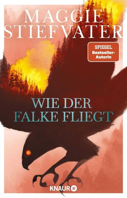 Produktbild: Wie der Falke fliegt