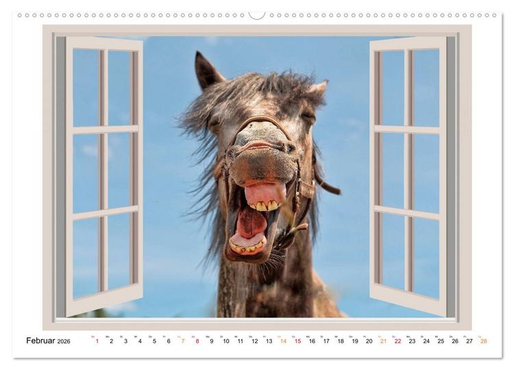 Produktbild: Fenstergucker - tierische Freunde an der Wand (Wandkalender 2026 DIN A2 quer), CALVENDO Monatskalender