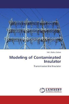 Produktbild: Salam, M: Modeling of Contaminated Insulator