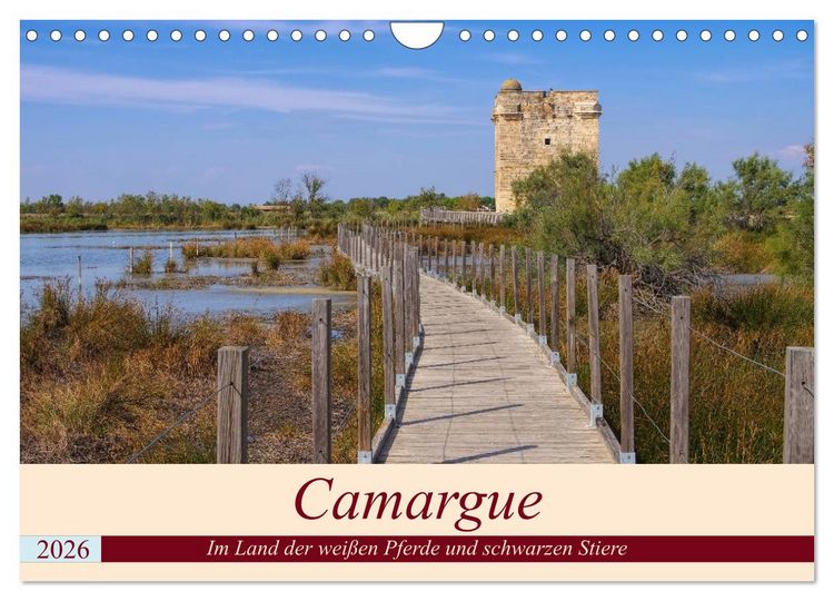 Produktbild: Camargue - Im Land der wei&szlig;en Pferde und schwarzen Stiere (Wandkalender 2026 DIN A4 quer), CALVENDO Monatskalender