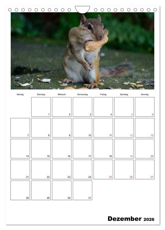 Produktbild: Streifenh&ouml;rnchen - neugierige Nager (Wandkalender 2026 DIN A4 hoch), CALVENDO Monatskalender