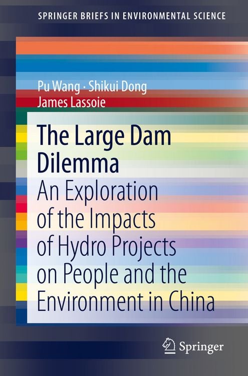 Produktbild: The Large Dam Dilemma