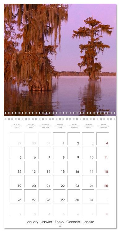 Produktbild: Mississippi Delta, Magic Swamps (Wall Calendar 2026 12 &times; 12 Inch) CALVENDO 12 Month Wall Calendar