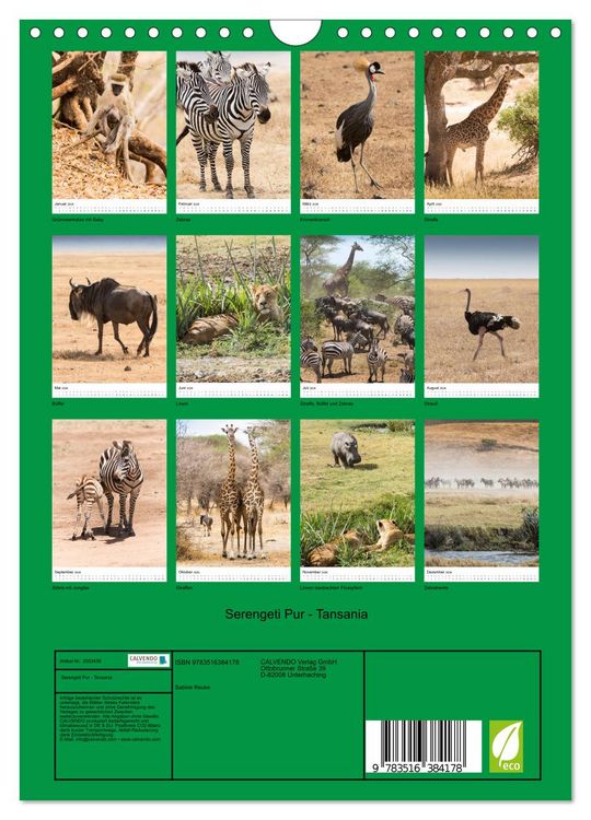 Produktbild: Serengeti Pur - Tansania (Wandkalender 2026 DIN A4 hoch), CALVENDO Monatskalender