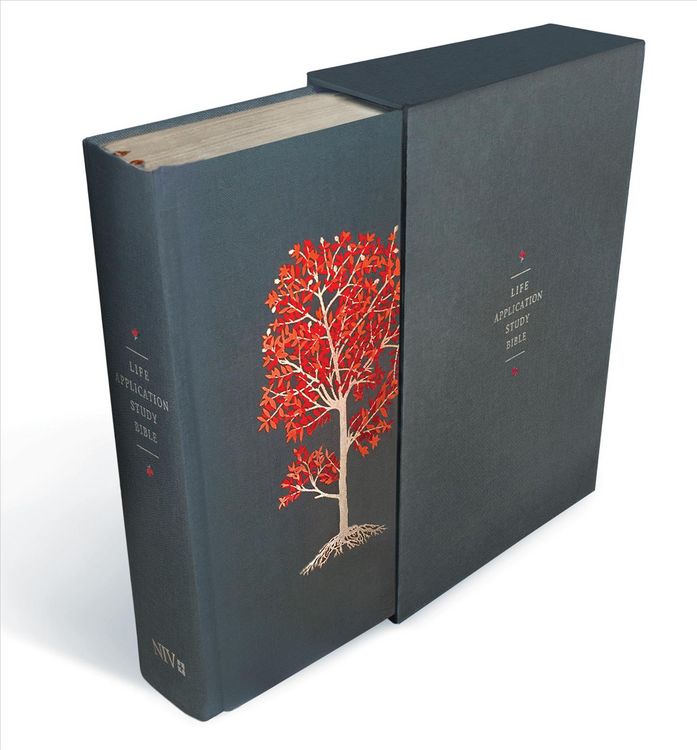 Produktbild: Life Application Study Bible N