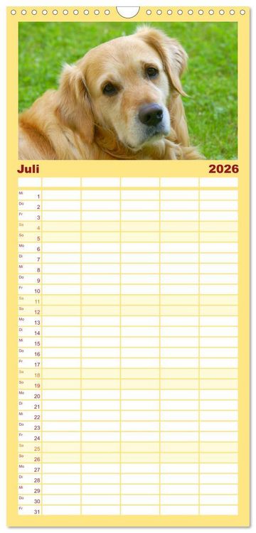 Produktbild: Familienplaner 2026 - Golden Retriever Power mit 5 Spalten (Wandkalender, 21 x 45 cm) CALVENDO