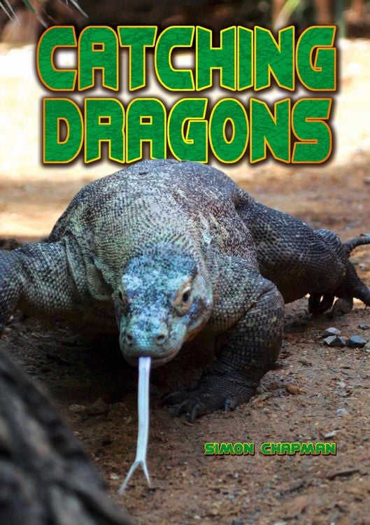 Produktbild: Catching Dragons