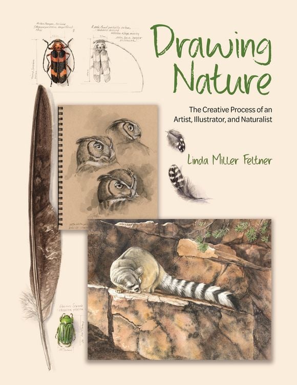 Produktbild: Drawing Nature