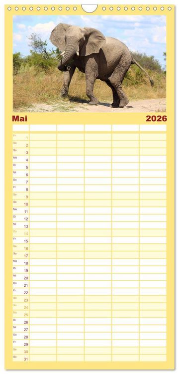 Produktbild: Familienplaner 2026 - Elefanten in Afrika mit 5 Spalten (Wandkalender, 21 x 45 cm) CALVENDO