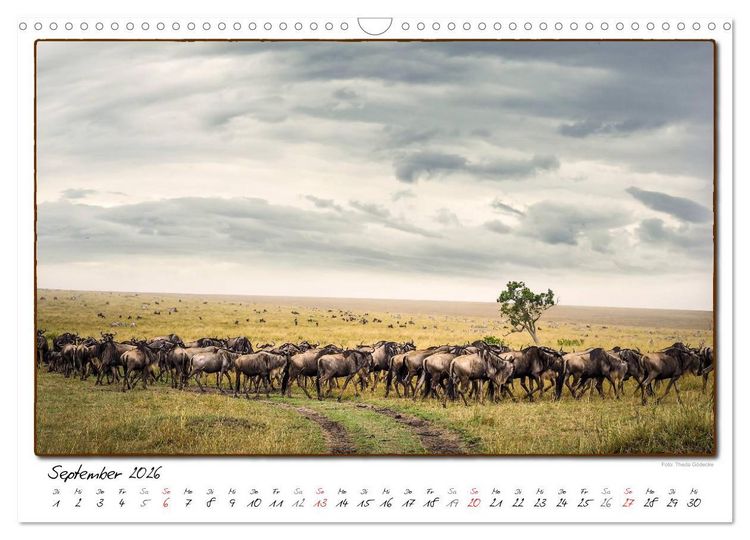 Produktbild: Abenteuer Masai Mara (Wandkalender 2026 DIN A3 quer), CALVENDO Monatskalender