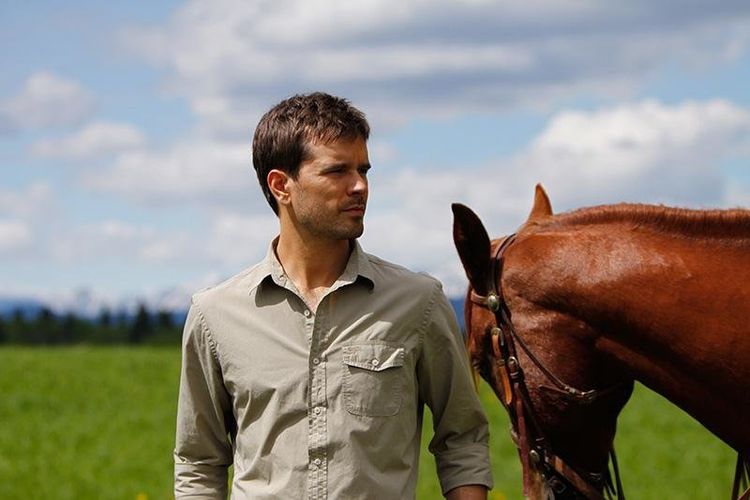 Produktbild: Heartland - Paradies f&uuml;r Pferde - Staffel 8.1: Episode 1-9 [3 DVDs]