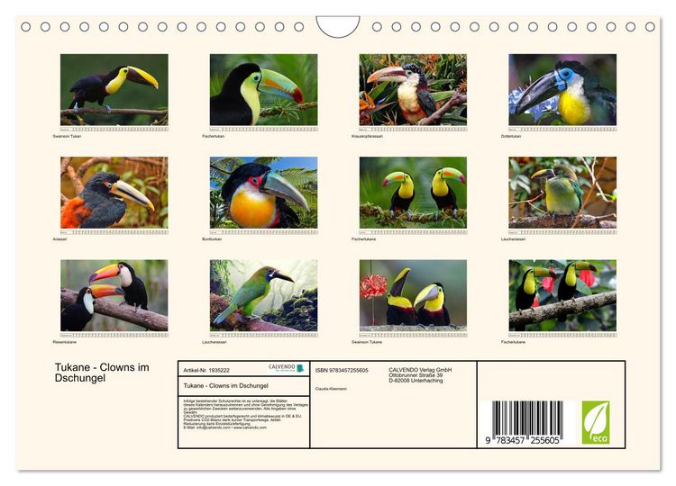 Produktbild: Tukane - Clowns im Dschungel (Wandkalender 2026 DIN A4 quer), CALVENDO Monatskalender
