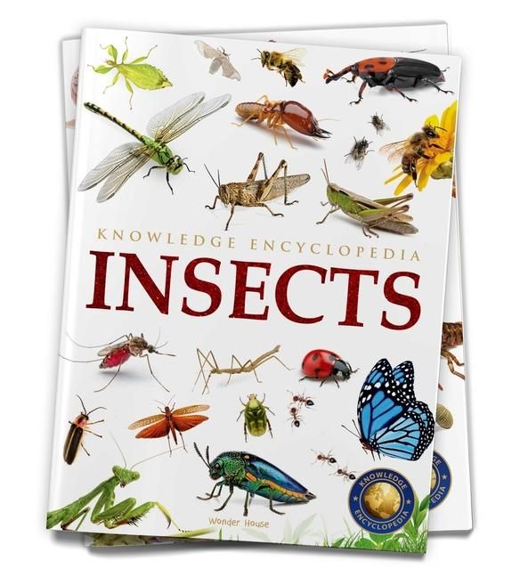 Produktbild: Animals: Insects