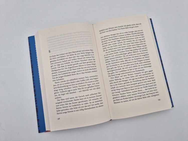 Produktbild: Melville verschwindet