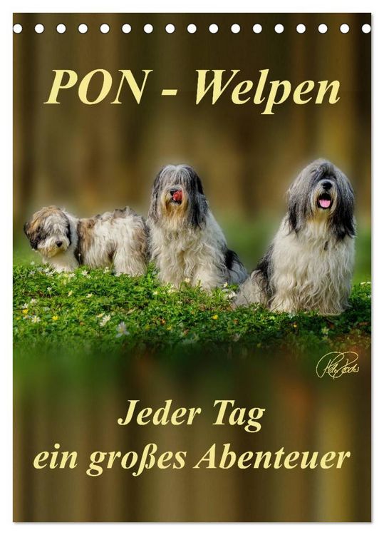 Produktbild: PON-Welpen - jeder Tag ein gro&szlig;es Abenteuer / Planer (Tischkalender 2026 DIN A5 hoch), CALVENDO Monatskalender