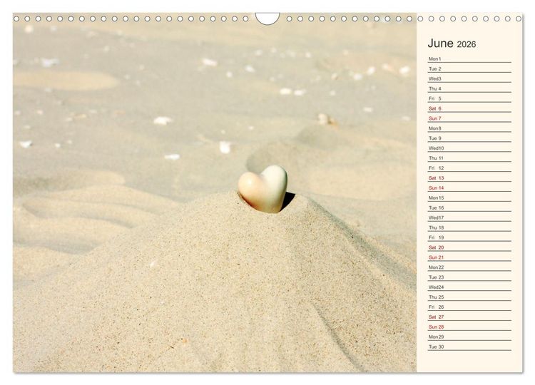 Produktbild: Shells, Stones and Sand (Wall Calendar 2026 DIN A3 landscape), CALVENDO 12 Month Wall Calendar