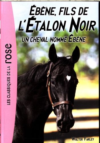 Produktbild: Eb&egrave;ne, fils de l'&eacute;talon noirUn cheval nomm&eacute; Eb&egrave;ne