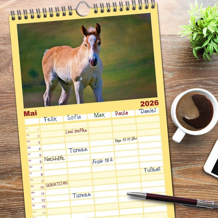 Produktbild: Familienplaner 2026 - Die besonderen Haflinger-Pferde mit 5 Spalten (Wandkalender, 21 x 45 cm) CALVENDO
