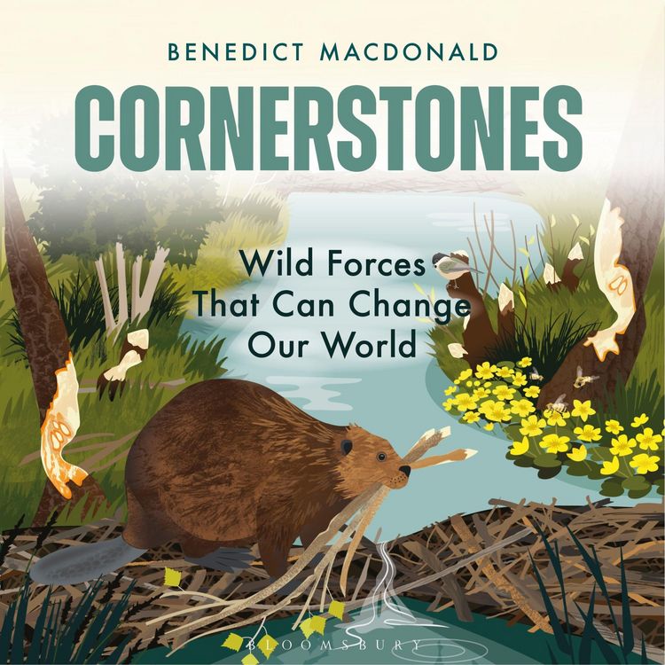 Produktbild: Cornerstones